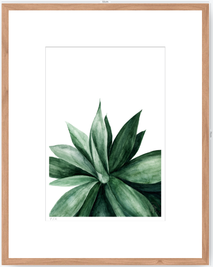 Agave - 33 x 48 cm