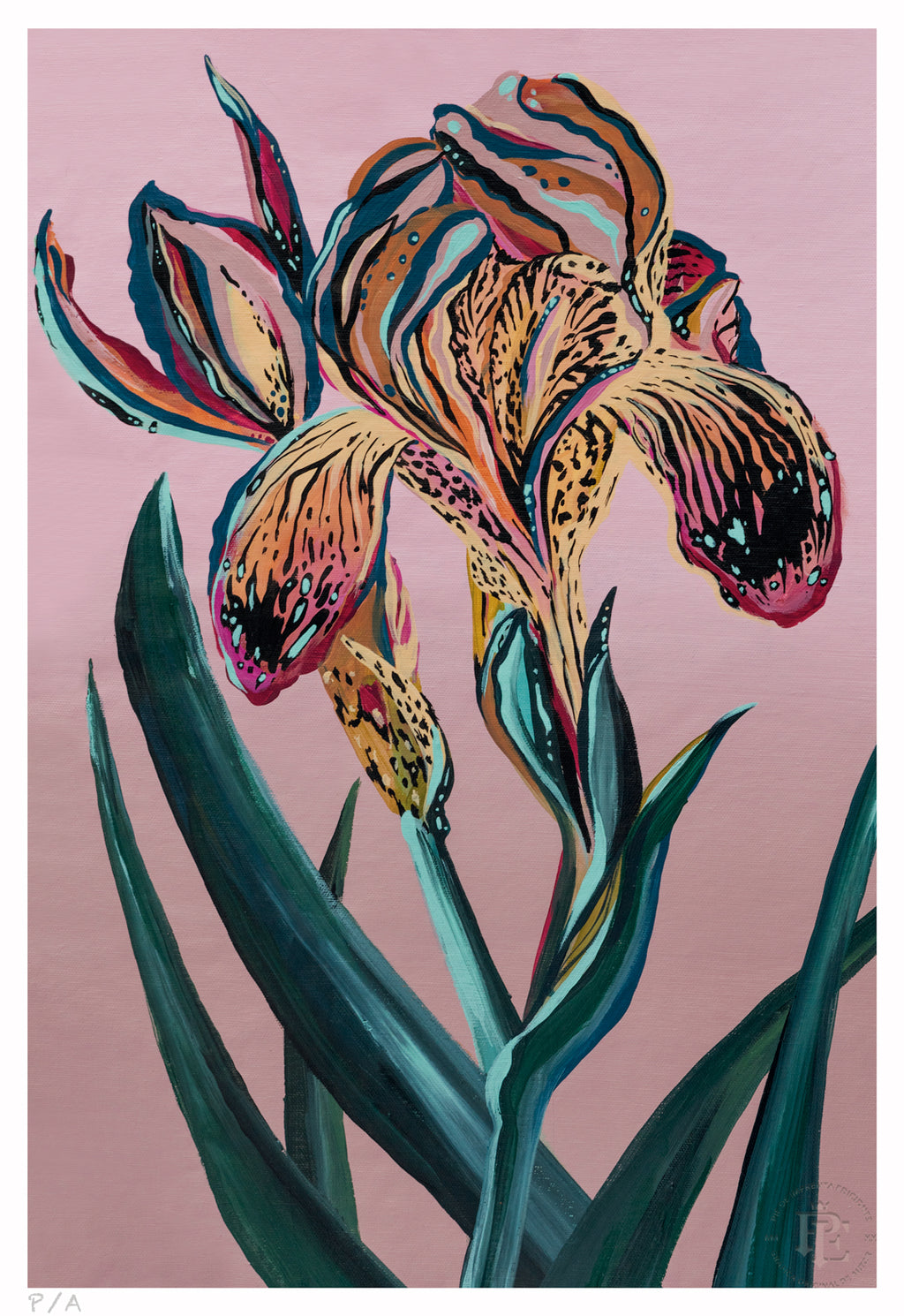 Orquídea Tigre - 33 x 48 cm