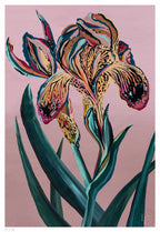 Orquídea Tigre - 33 x 48 cm