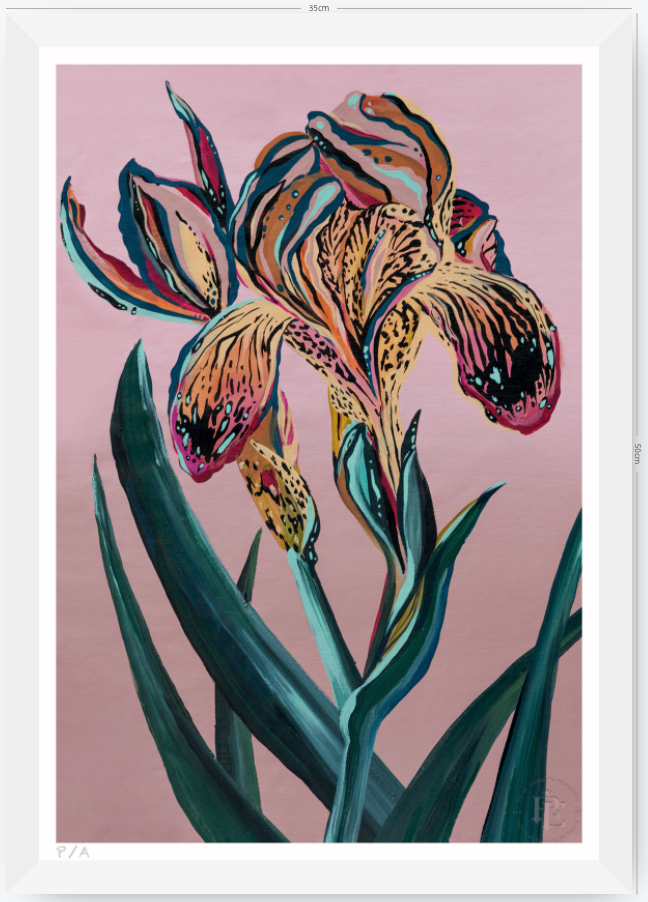 Orquídea Tigre - 33 x 48 cm