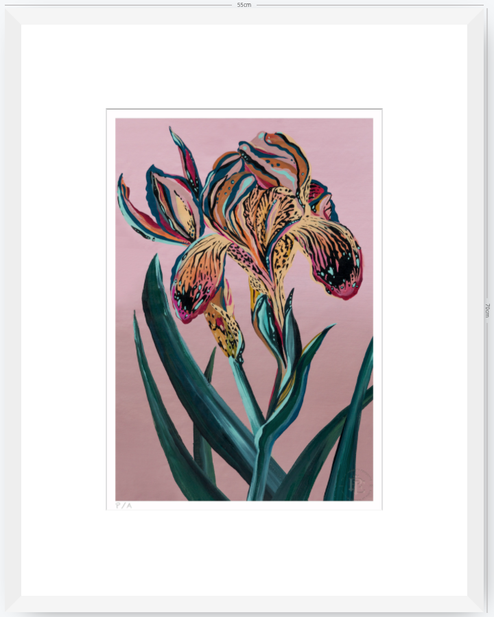 Orquídea Tigre - 33 x 48 cm