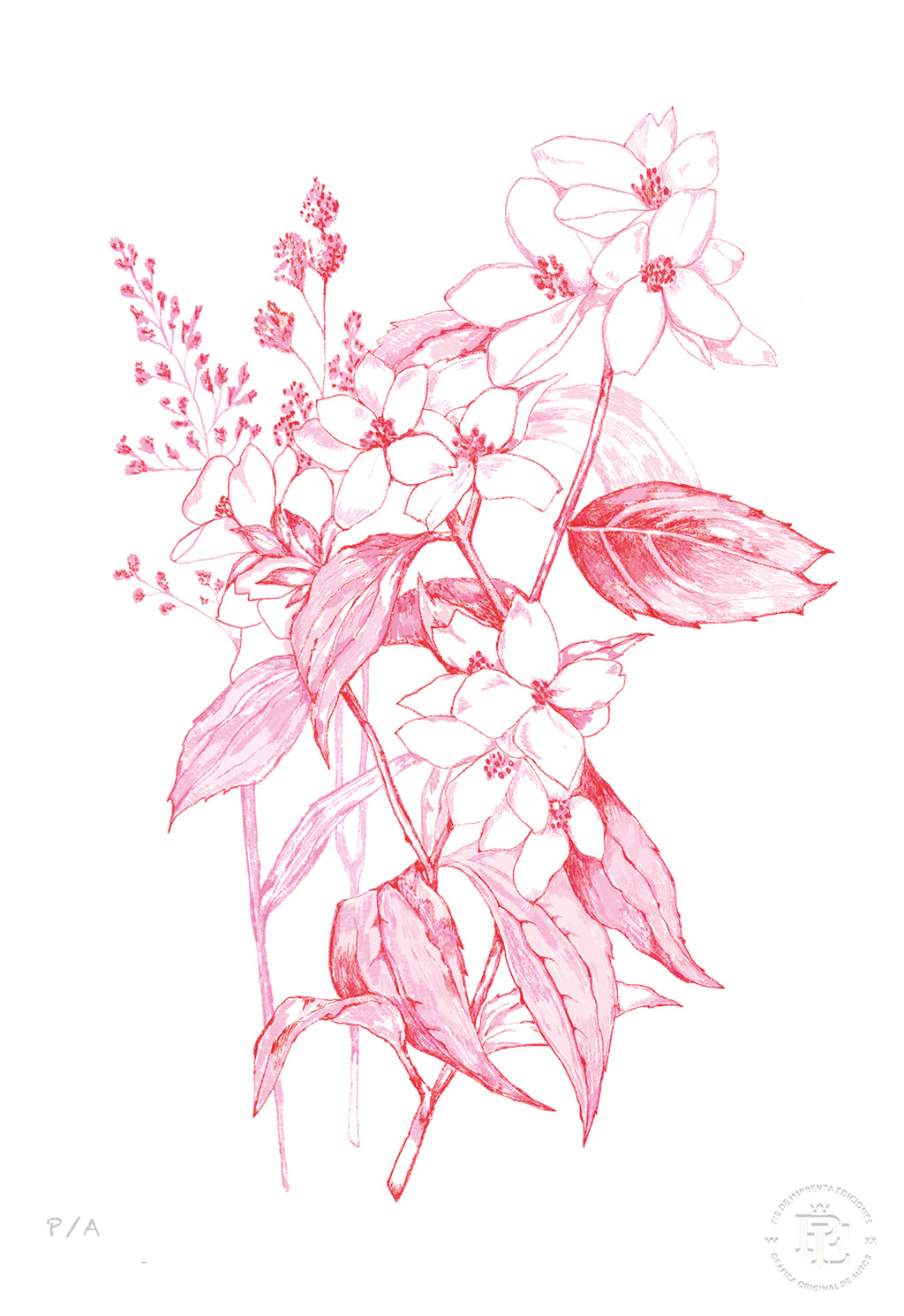 Florecer Agradecer I - 33 x 48 cm