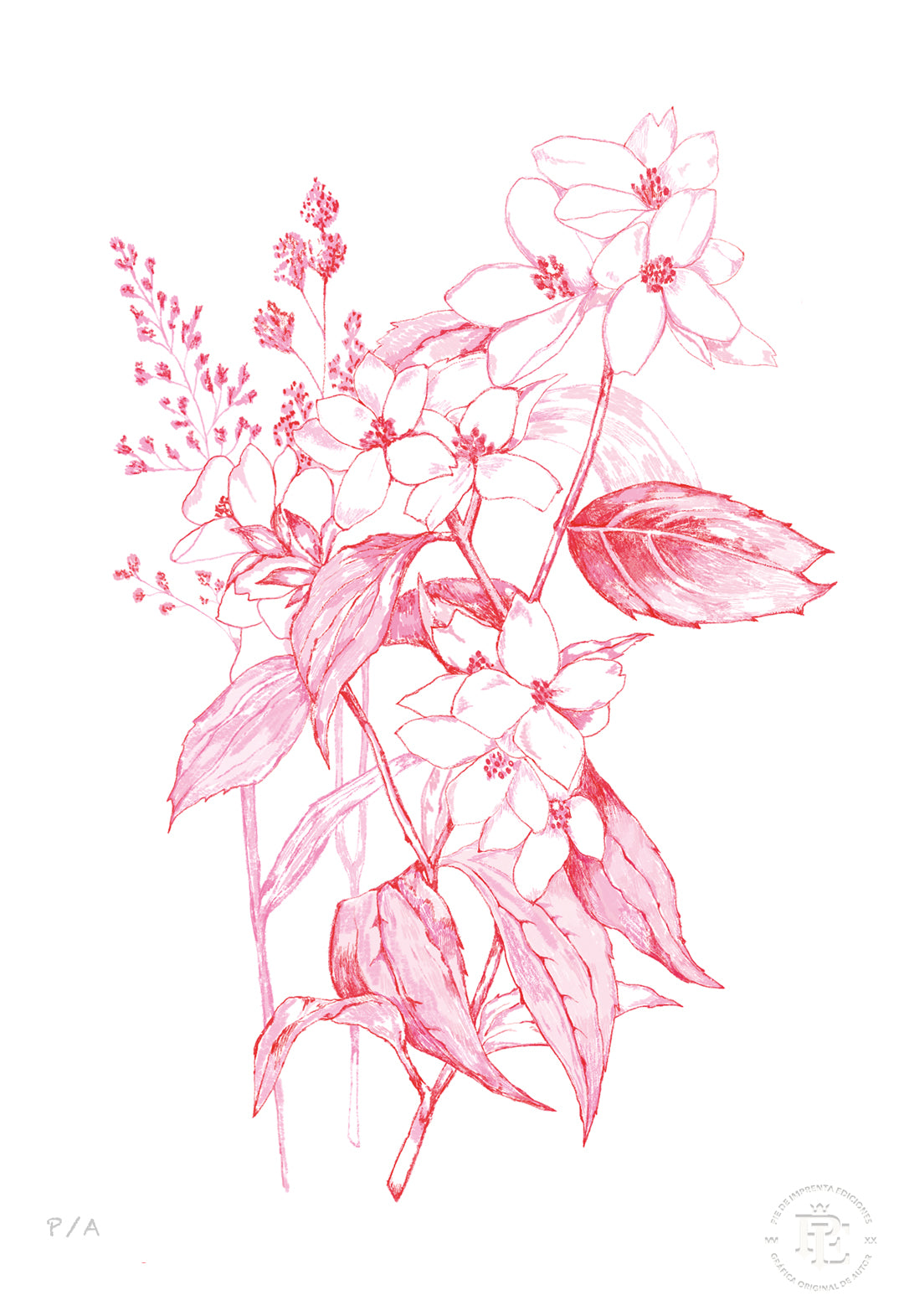 Florecer Agradecer I - 33 x 48 cm