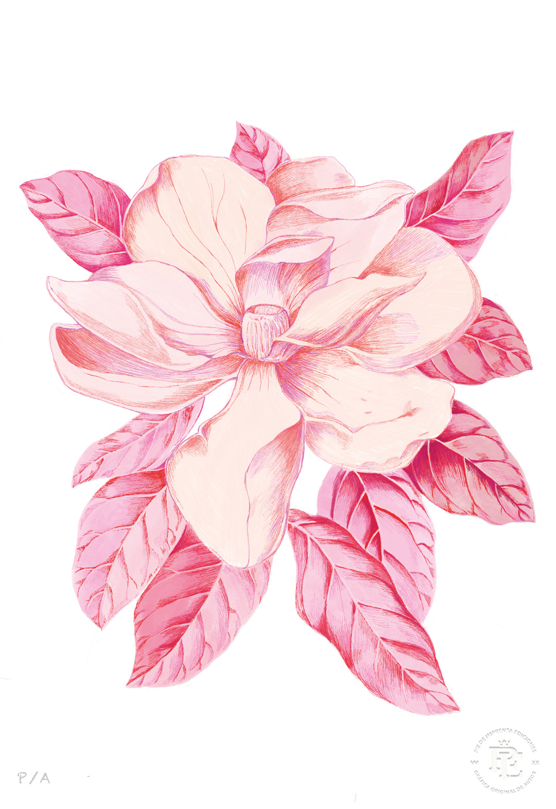 Florecer Agradecer III - 33 x 48 cm