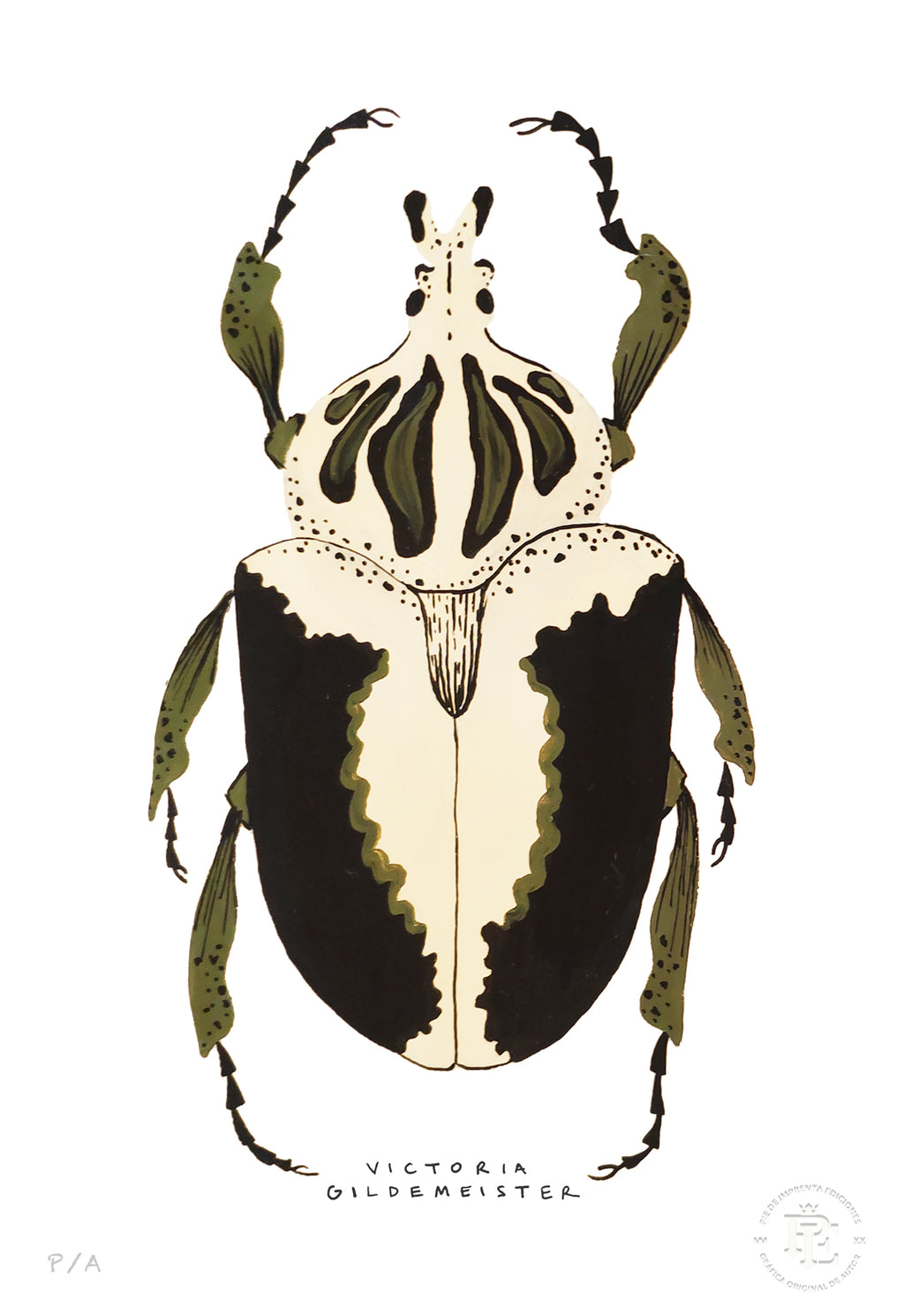 Escarabajo Crema & Negro - 33 x 48 cm