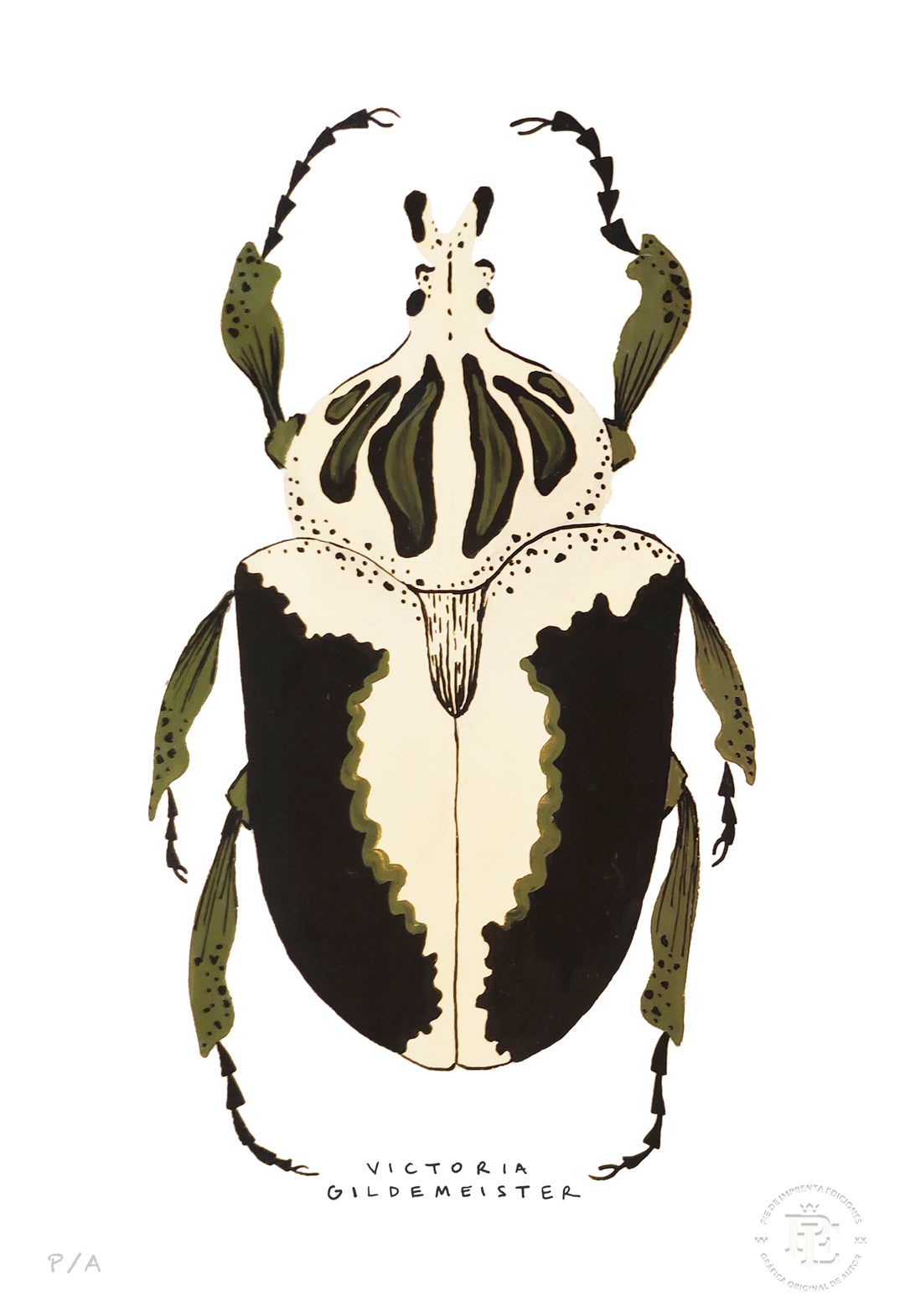 Escarabajo Crema & Negro - 33 x 48 cm