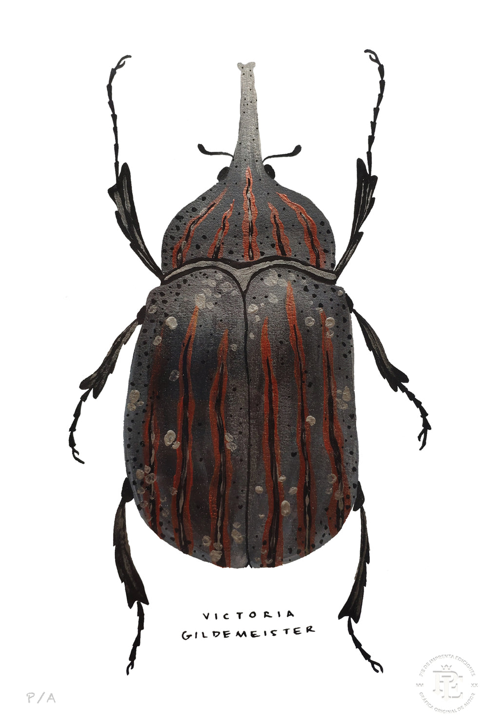 Escarabajo Grafito - 33 x 48 cm