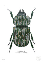 Escarabajo Verde Sicodélico - 33 x 48 cm