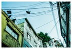 Shoefiti II - 48 x 33 cm