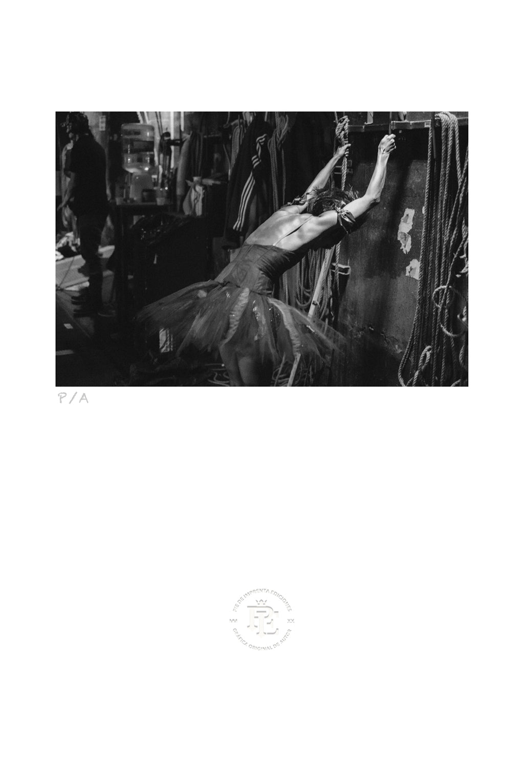 Pájaro De Fuego - 33 x 48 cm