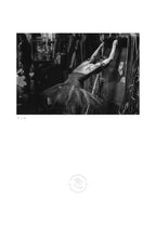 Pájaro De Fuego - 33 x 48 cm