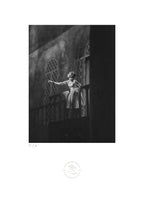 La Fierecilla Domada - 33 x 48 cm