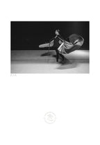 Cenicienta - 33 x 48 cm