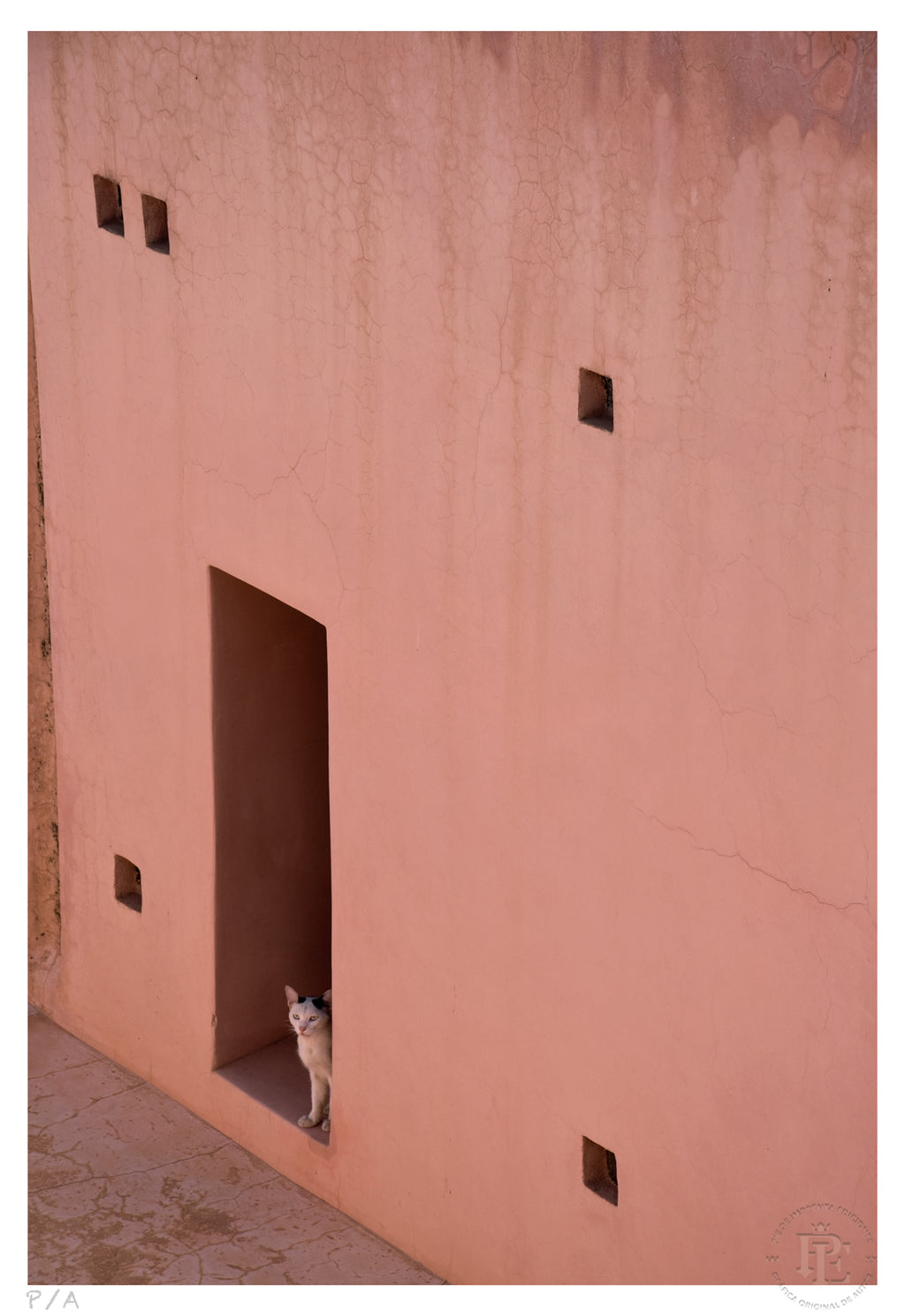 Gato, Dar Bellaj - 33 x 48 cm