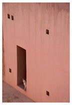 Gato, Dar Bellaj - 33 x 48 cm