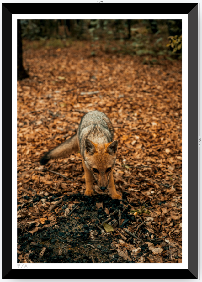 Reencuentro - 33 x 48 cm