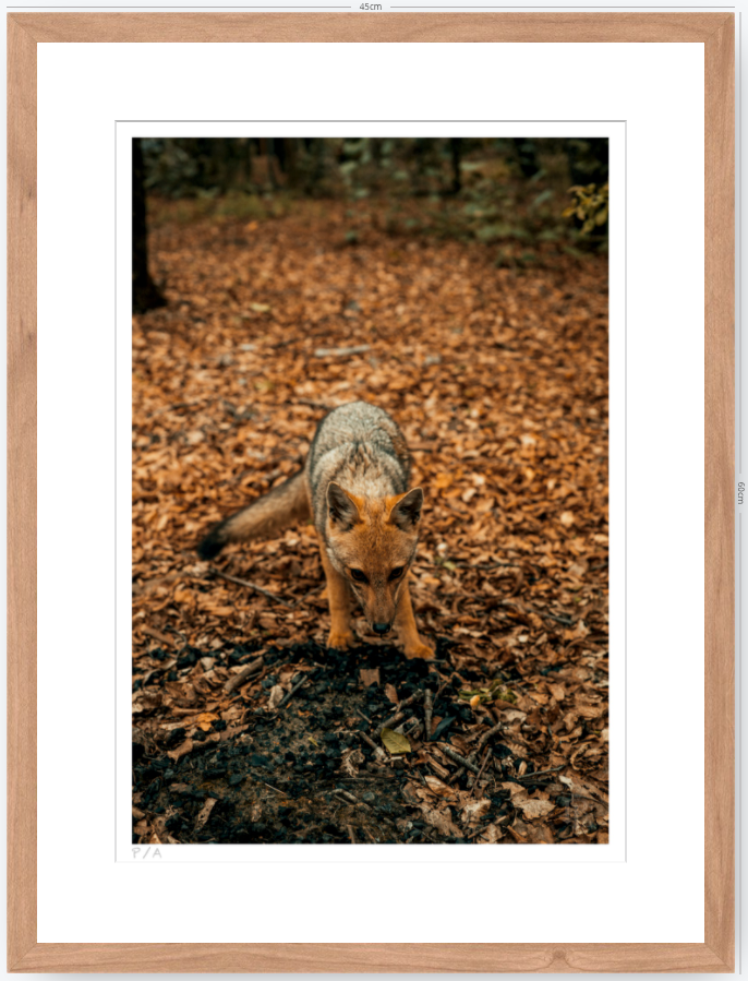 Reencuentro - 33 x 48 cm