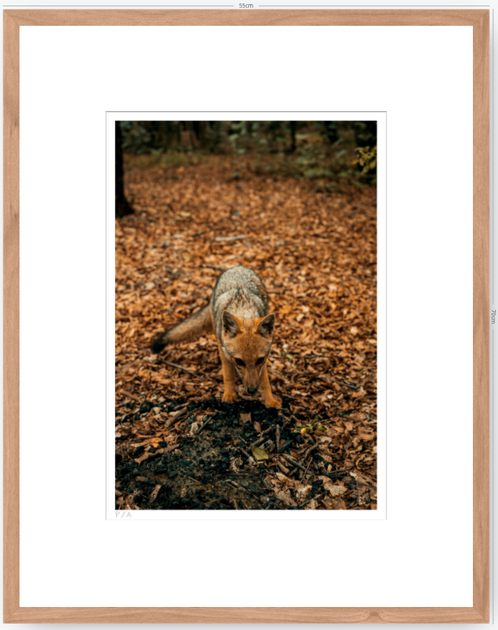 Reencuentro - 33 x 48 cm