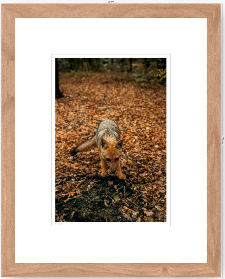 Reencuentro - 33 x 48 cm