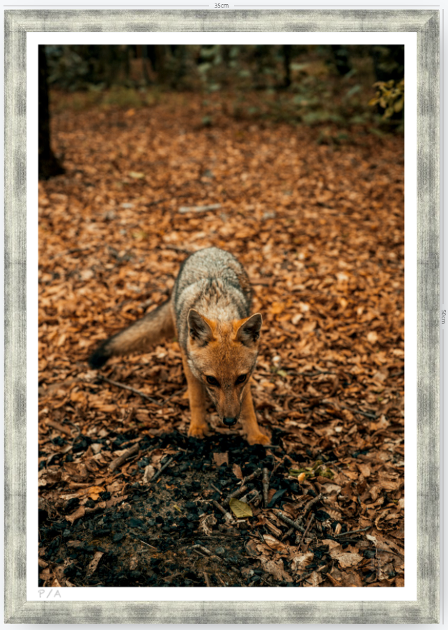 Reencuentro - 33 x 48 cm