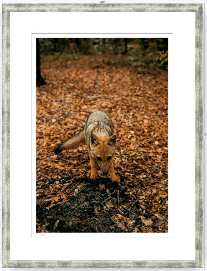 Reencuentro - 33 x 48 cm