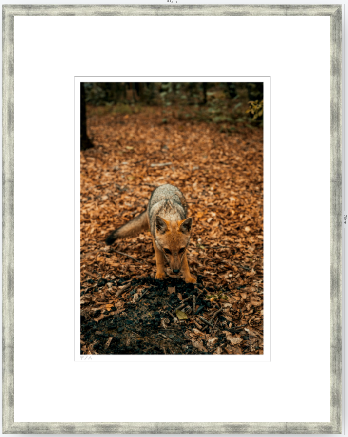 Reencuentro - 33 x 48 cm