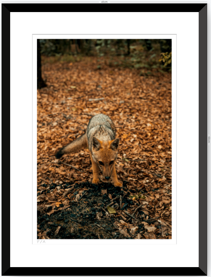 Reencuentro - 33 x 48 cm