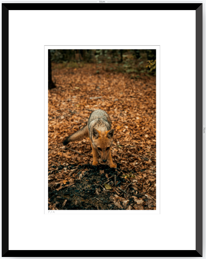 Reencuentro - 33 x 48 cm