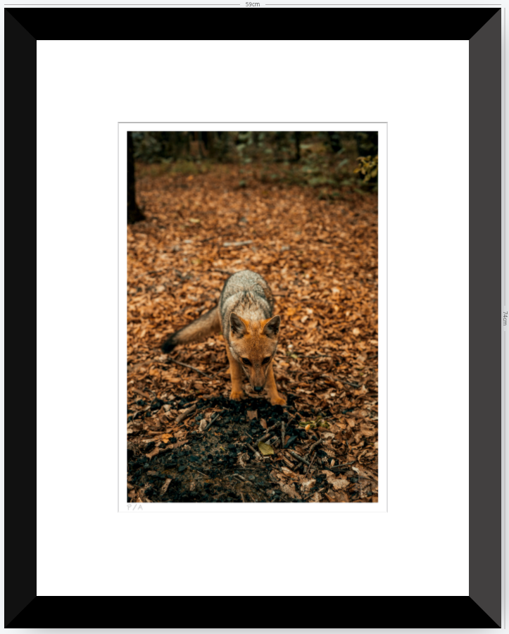 Reencuentro - 33 x 48 cm