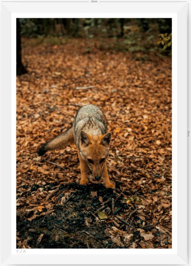 Reencuentro - 33 x 48 cm