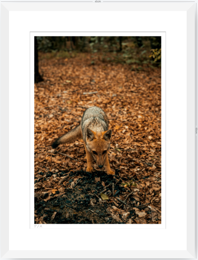 Reencuentro - 33 x 48 cm