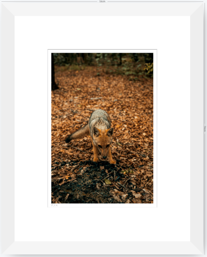 Reencuentro - 33 x 48 cm