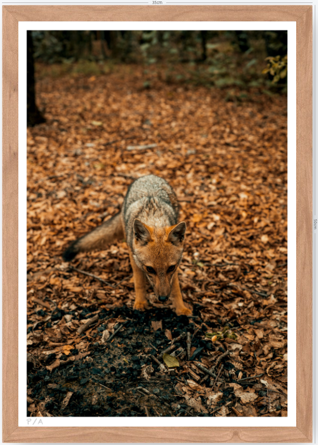 Reencuentro - 33 x 48 cm