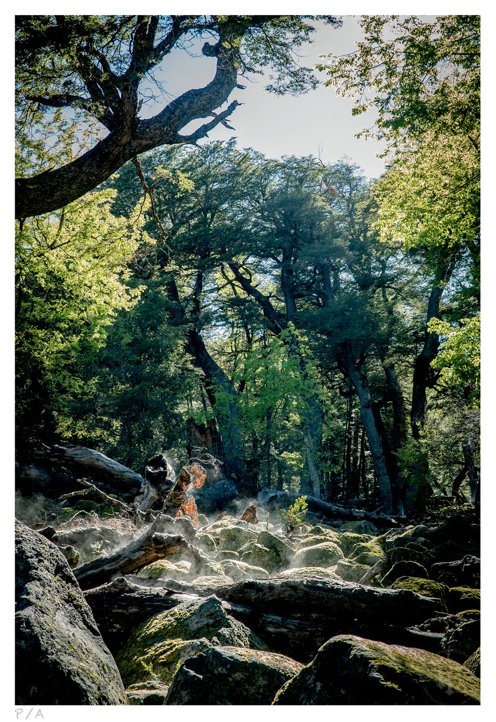 Amanecer - 33 x 48 cm