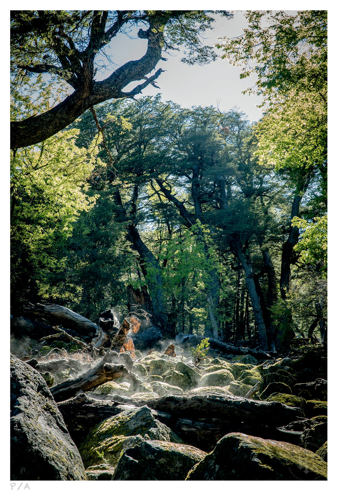 Amanecer - 33 x 48 cm