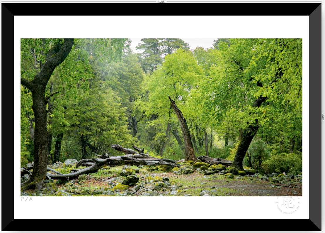 Verde - 48 x 33 cm