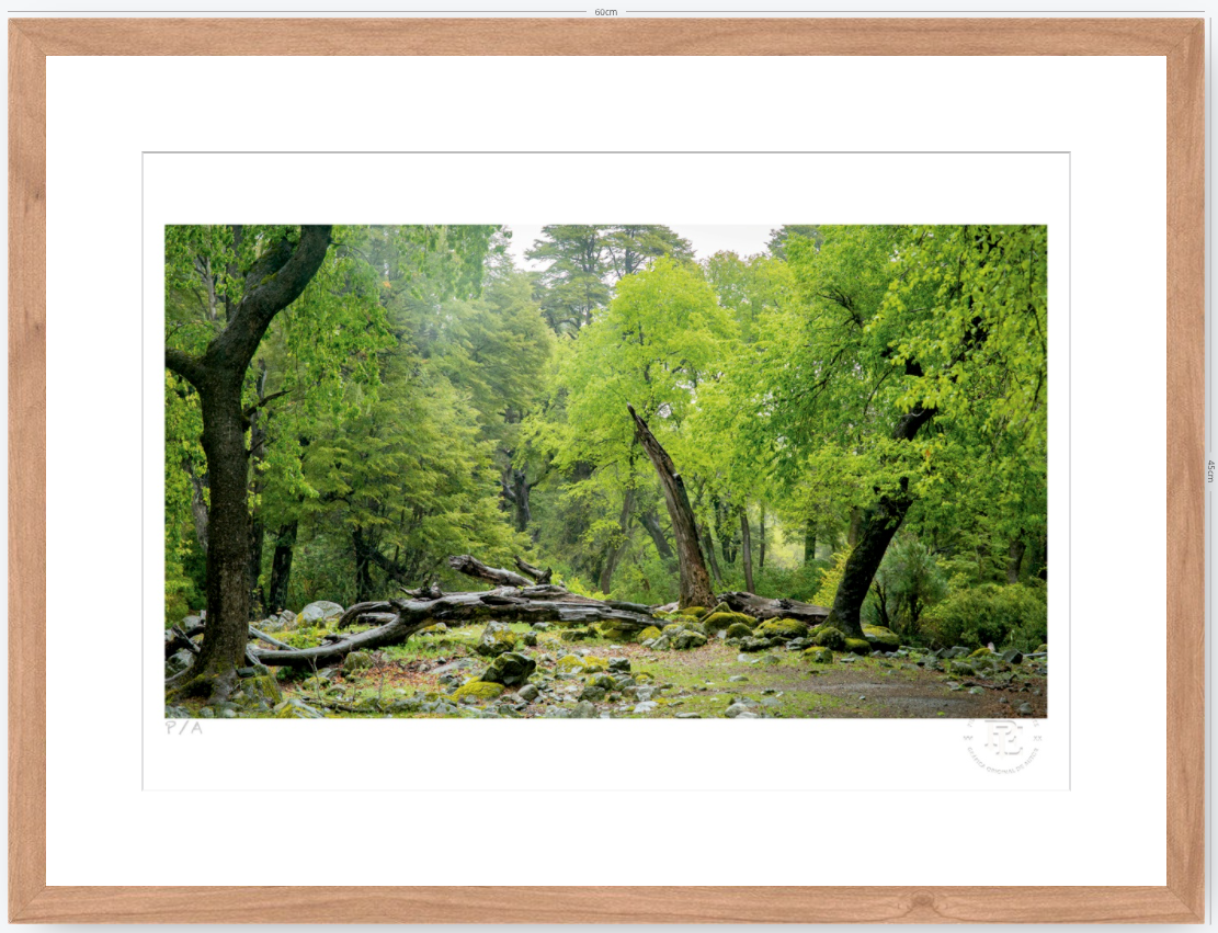 Verde - 48 x 33 cm