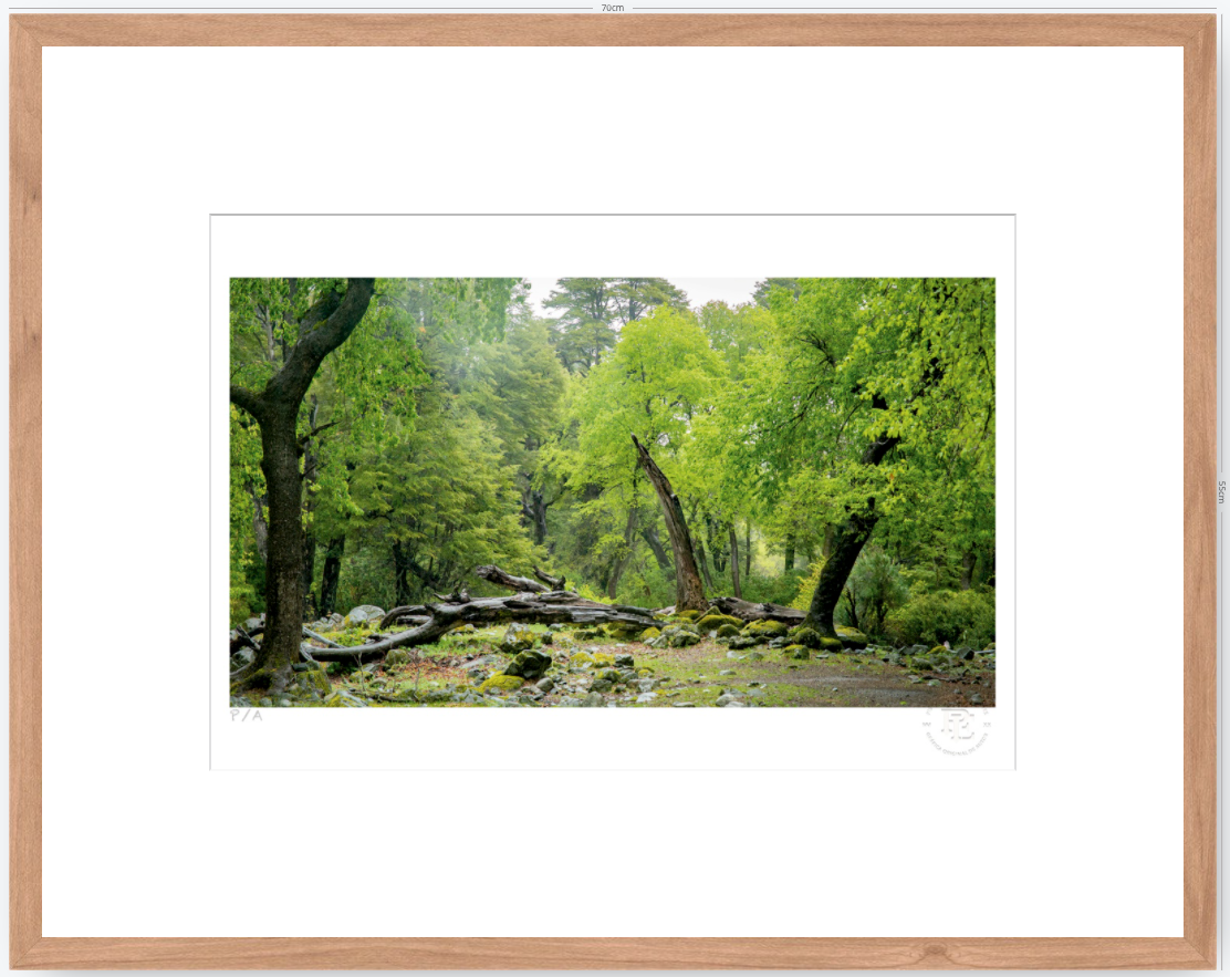 Verde - 48 x 33 cm