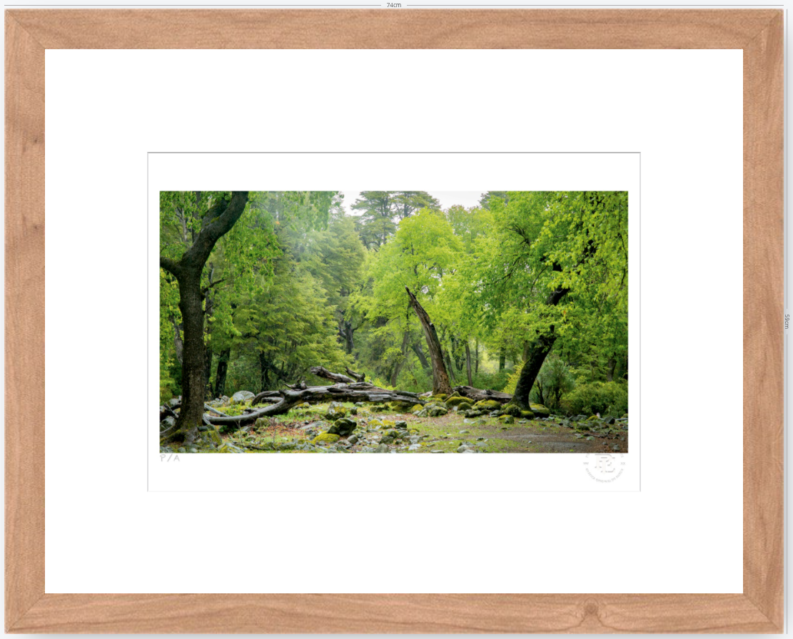 Verde - 48 x 33 cm
