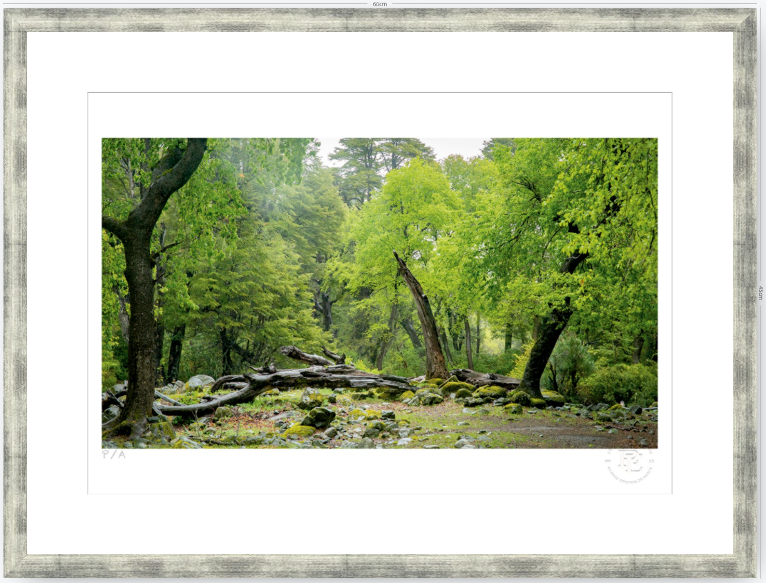 Verde - 48 x 33 cm
