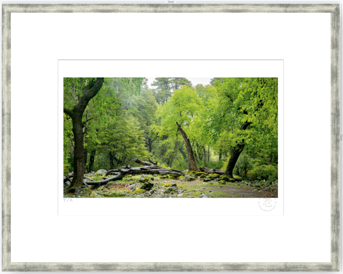 Verde - 48 x 33 cm