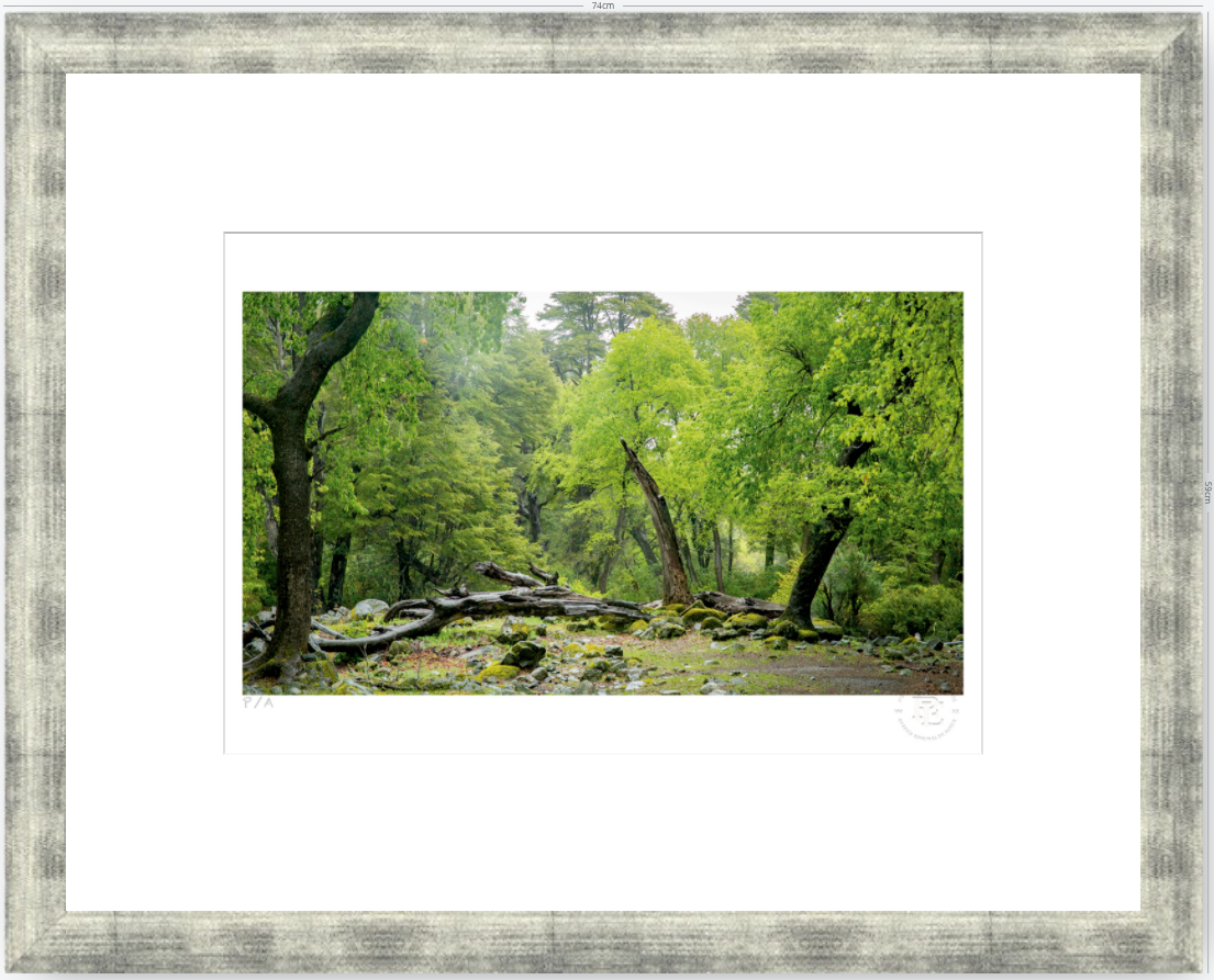 Verde - 48 x 33 cm