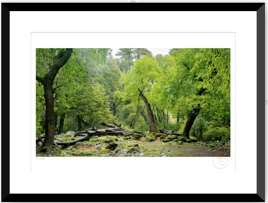 Verde - 48 x 33 cm