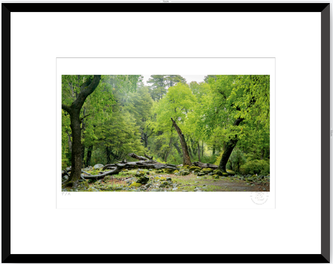 Verde - 48 x 33 cm