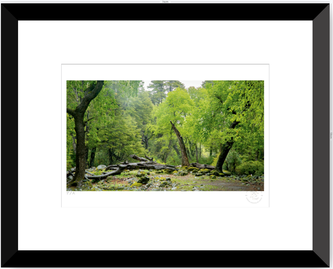 Verde - 48 x 33 cm