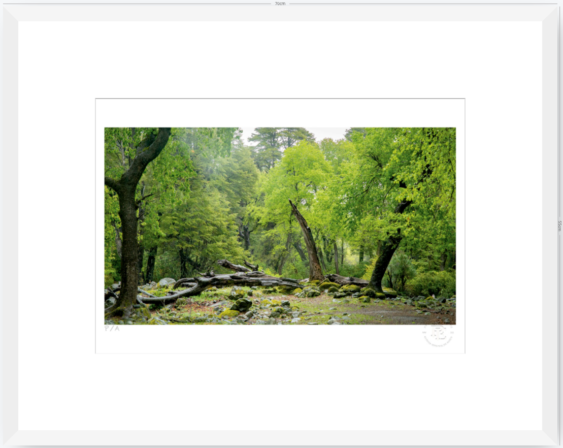 Verde - 48 x 33 cm
