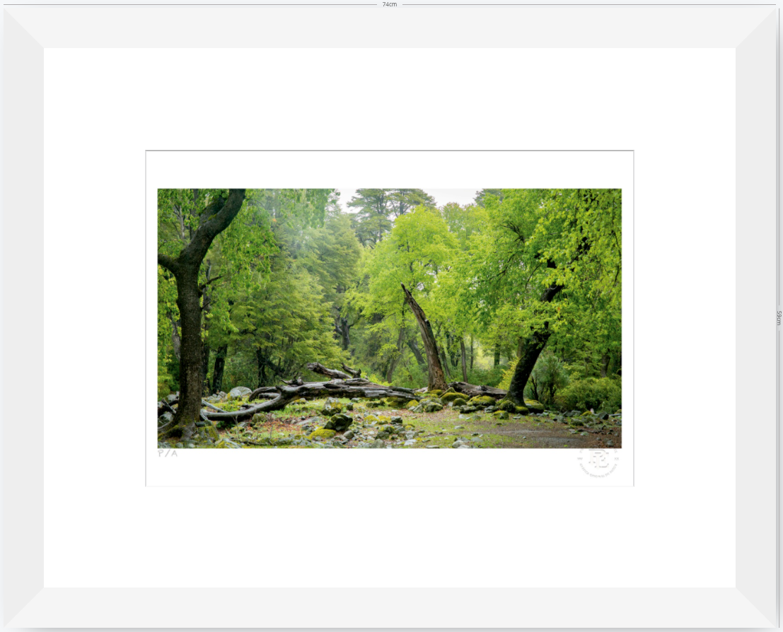 Verde - 48 x 33 cm