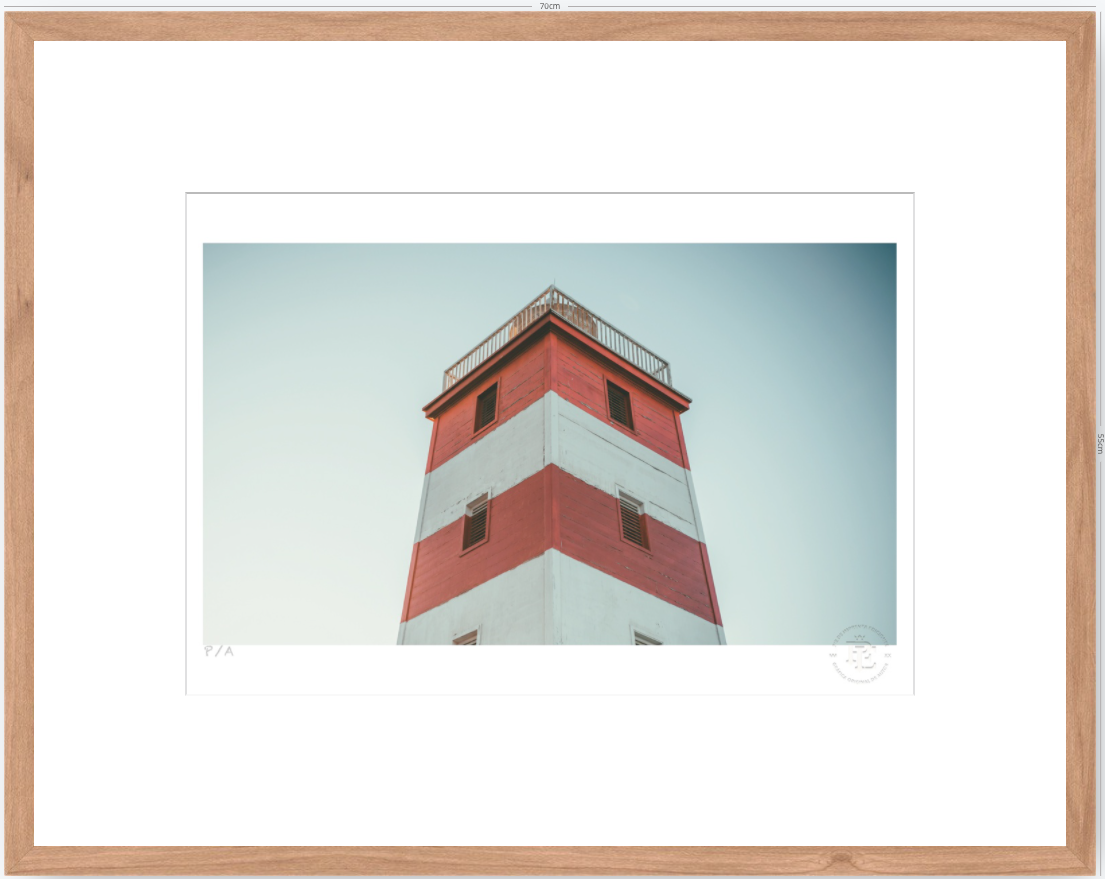 Cabezón - 48 x 33 cm