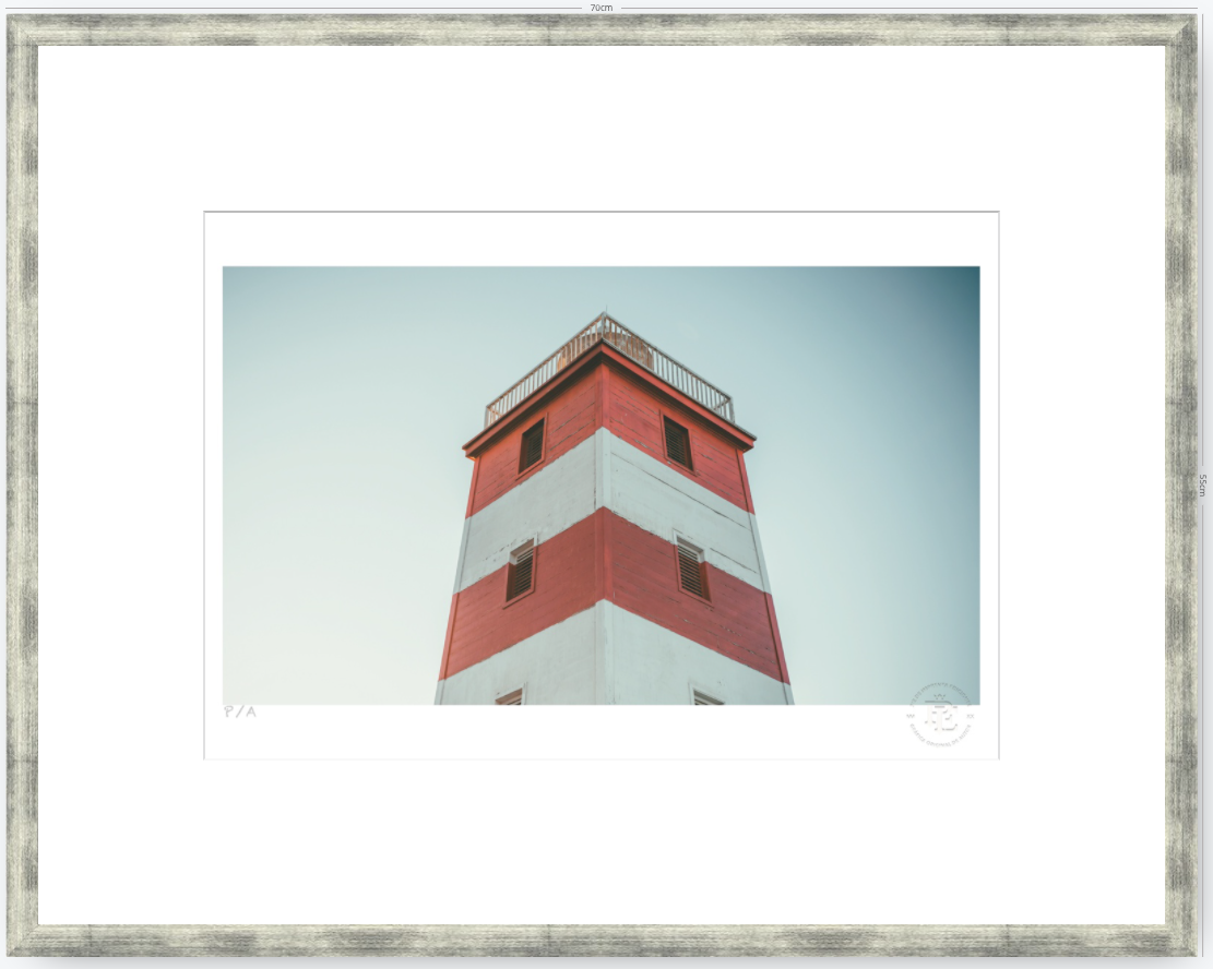 Cabezón - 48 x 33 cm
