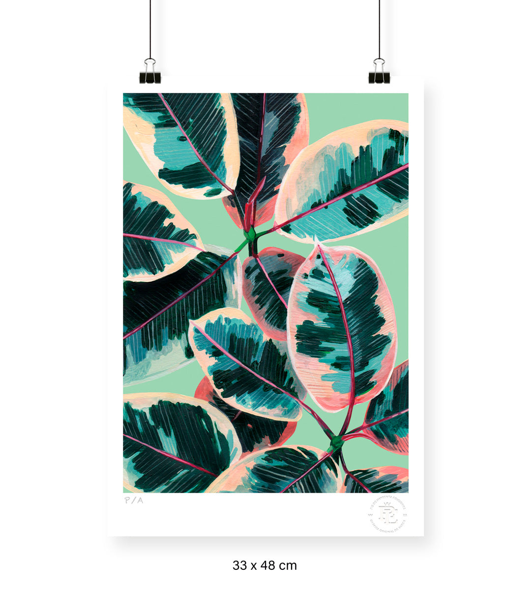 Gomero - 33 x 48 cm